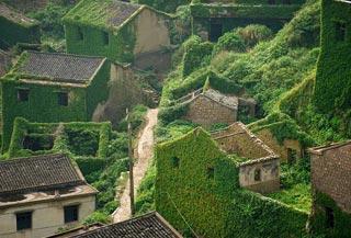 เกาะร้าง