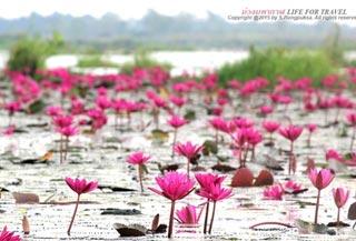 เที่ยวอุดรธานี