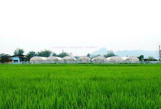 ท่องเที่ยวเชิงอนุรักษ์