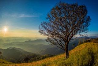 เที่ยวตาก