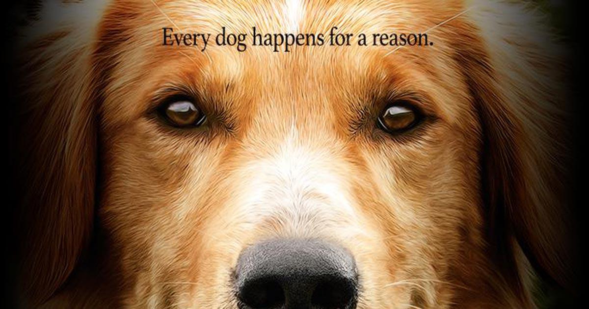 Every dog. A Dog's purpose постеры. Фильм про душу собаки. A Dog's purpose poster. So it is happened Dog.