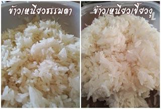 ข้าวเหนียว