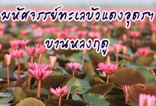 ทะเลบัวแดง อุดรธานี