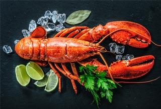 กุ้งล็อบสเตอร์