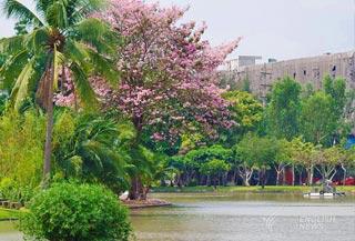 สวนจตุจักร